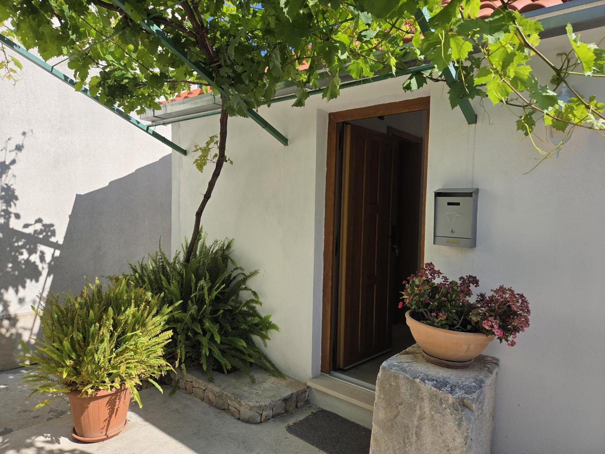 Apartments Jelena Supetar - Four Apartments - A Small House With A Private Yard - Two-Room Apartment With A Sea View - Studio Apartment - Two-Room Apartment With Garden View- Free Parking المظهر الخارجي الصورة